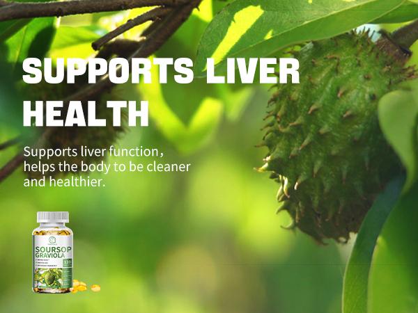 Soursop Graviola Capsules, Contain Kelp, for Cell Regeneration, Enhances Immunity, Supports Immune System, Digestive & Antioxidant Properties, Gluten Free, Non GMO, Vegan, 120 Counts