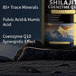 Shilajit Supplements for Men & Women,12 in 1 Himalayan Shilajit Capsules with Coenzyme Q10, Fulvic Acid & Humic Acid, Sea Moss, Lion's Mane Mushroom, Energy & Immune Support, 120 Counts