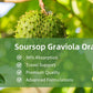 Soursop Graviola Oral Liquid High Absorption Soursop Guanabana Drink