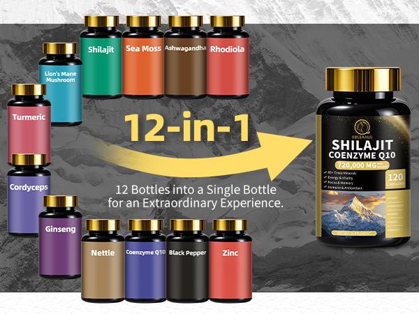 Shilajit Supplements for Men & Women,12 in 1 Himalayan Shilajit Capsules with Coenzyme Q10, Fulvic Acid & Humic Acid, Sea Moss, Lion's Mane Mushroom, Energy & Immune Support, 120 Counts