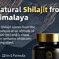 Shilajit Supplements for Men & Women,12 in 1 Himalayan Shilajit Capsules with Coenzyme Q10, Fulvic Acid & Humic Acid, Sea Moss, Lion's Mane Mushroom, Energy & Immune Support, 120 Counts