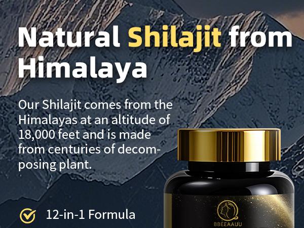 Shilajit Supplements for Men & Women,12 in 1 Himalayan Shilajit Capsules with Coenzyme Q10, Fulvic Acid & Humic Acid, Sea Moss, Lion's Mane Mushroom, Energy & Immune Support, 120 Counts